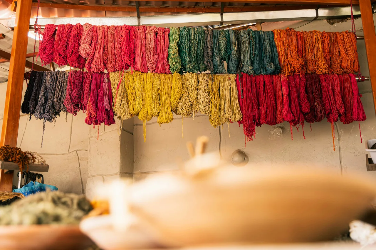 Colourful yarns drying on racks indoors